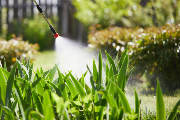 24/7 Emergency Cockroach Control experts in Decatur, AL