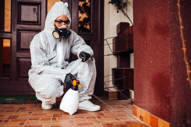 Reliable Cockroach Control contractor in Decatur, AL by Nex Pest Control